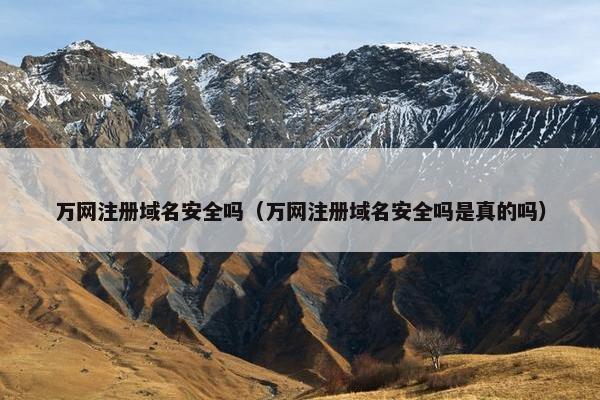 万网注册域名安全吗（万网注册域名安全吗是真的吗）