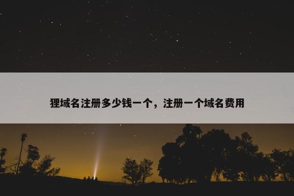 狸域名注册多少钱一个，注册一个域名费用