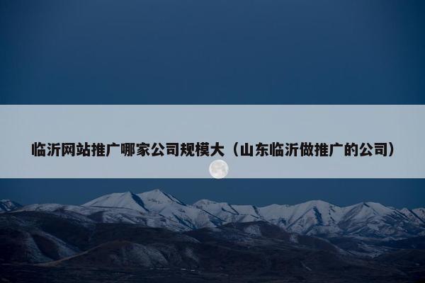 临沂网站推广哪家公司规模大（山东临沂做推广的公司）