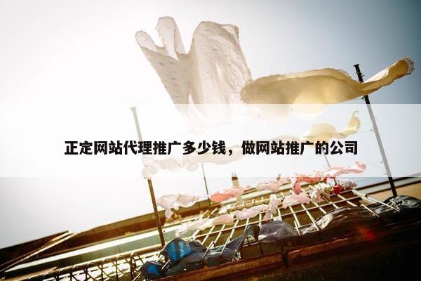 正定网站代理推广多少钱，做网站推广的公司