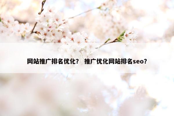 网站推广排名优化？ 推广优化网站排名seo？