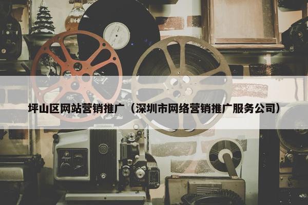 坪山区网站营销推广（深圳市网络营销推广服务公司）