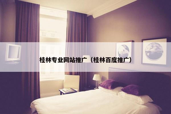 桂林专业网站推广（桂林百度推广）