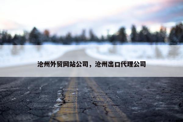 沧州外贸网站公司，沧州出口代理公司