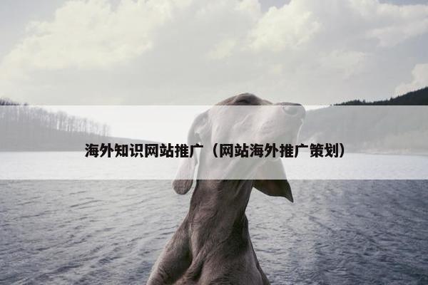 海外知识网站推广（网站海外推广策划）