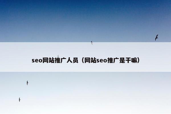seo网站推广人员（网站seo推广是干嘛）