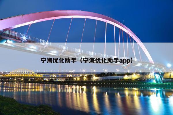 宁海优化助手（宁海优化助手app）