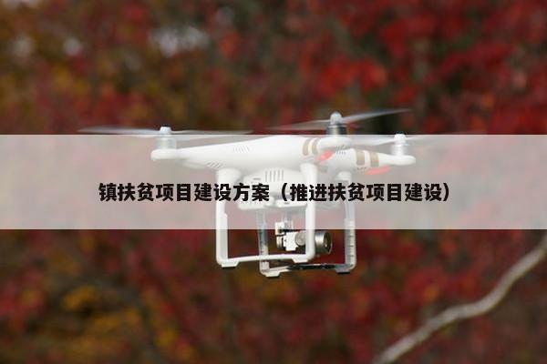 镇扶贫项目建设方案（推进扶贫项目建设）