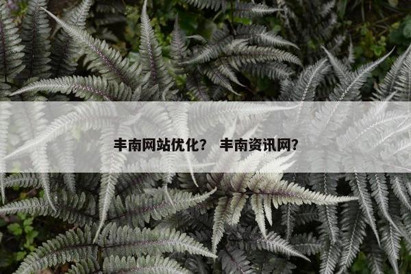 丰南网站优化？ 丰南资讯网？