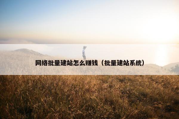 网络批量建站怎么赚钱（批量建站系统）