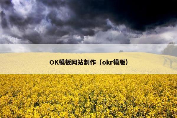 OK模板网站制作（okr模版）