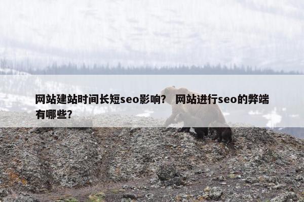 网站建站时间长短seo影响？ 网站进行seo的弊端有哪些？