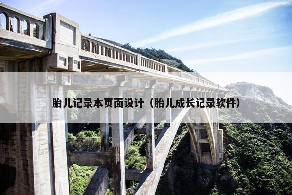 胎儿记录本页面设计（胎儿成长记录软件）