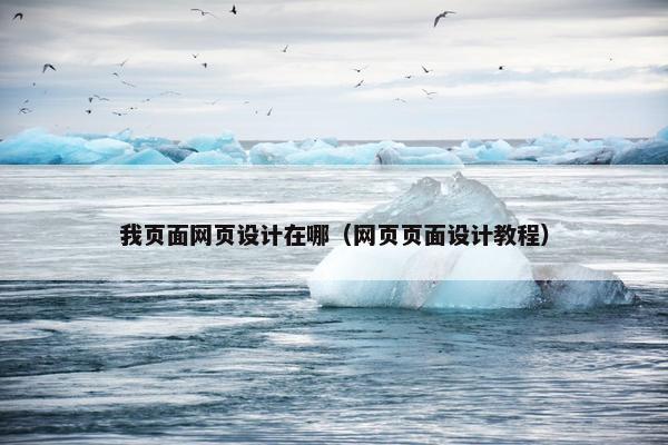 我页面网页设计在哪（网页页面设计教程）