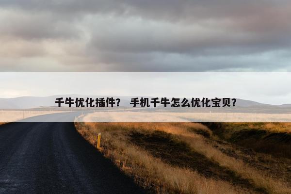 千牛优化插件？ 手机千牛怎么优化宝贝？