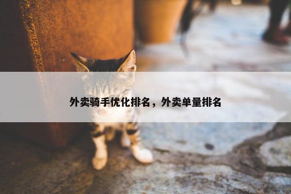 外卖骑手优化排名，外卖单量排名