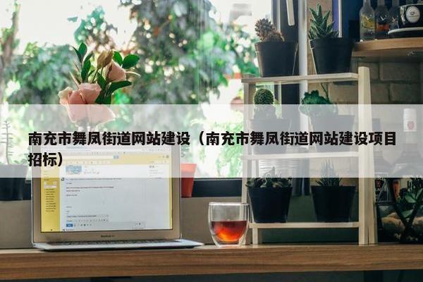 南充市舞凤街道网站建设（南充市舞凤街道网站建设项目招标）