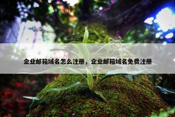 企业邮箱域名怎么注册，企业邮箱域名免费注册