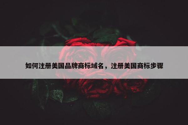 如何注册美国品牌商标域名，注册美国商标步骤
