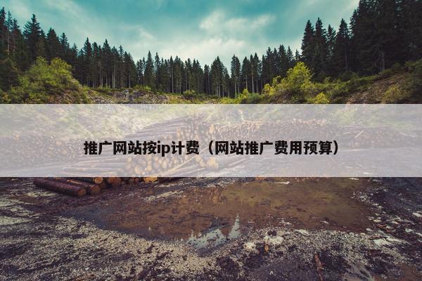 推广网站按ip计费（网站推广费用预算）
