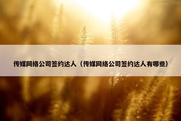 传媒网络公司签约达人（传媒网络公司签约达人有哪些）