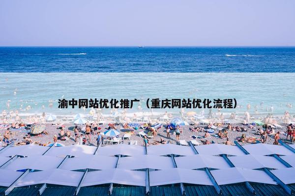 渝中网站优化推广（重庆网站优化流程）