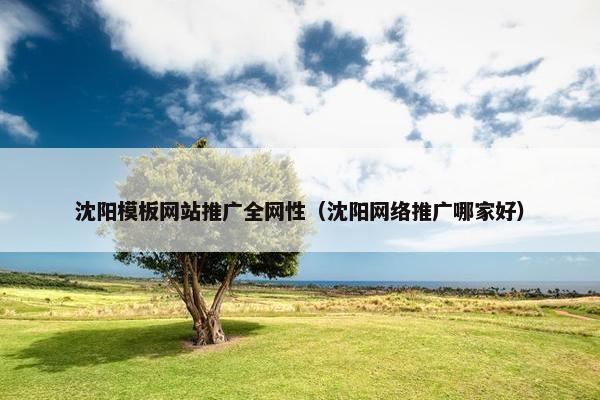 沈阳模板网站推广全网性（沈阳网络推广哪家好）