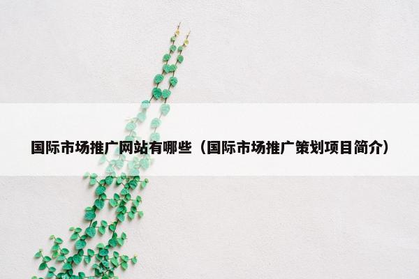 国际市场推广网站有哪些（国际市场推广策划项目简介）
