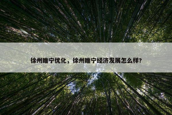 徐州睢宁优化，徐州睢宁经济发展怎么样?