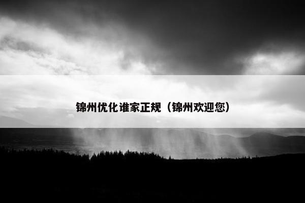 锦州优化谁家正规（锦州欢迎您）