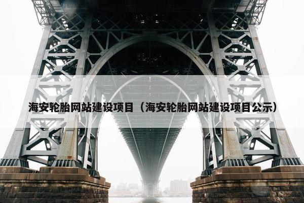 海安轮胎网站建设项目（海安轮胎网站建设项目公示）