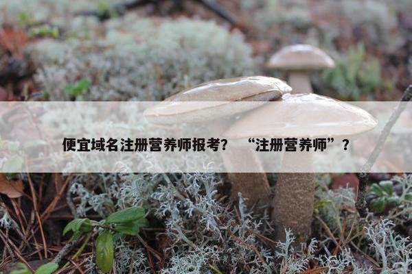 便宜域名注册营养师报考？ “注册营养师”？