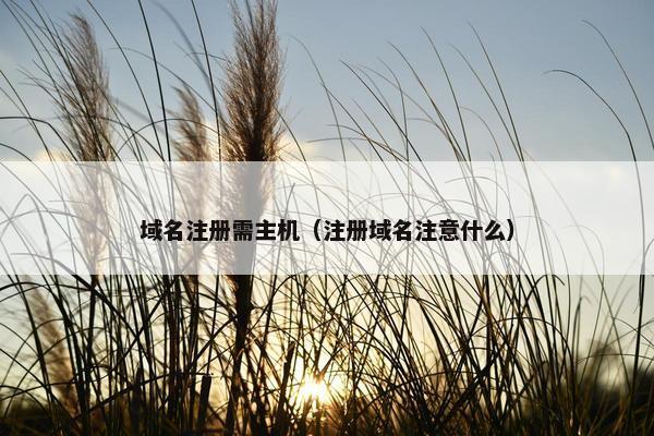 域名注册需主机（注册域名注意什么）