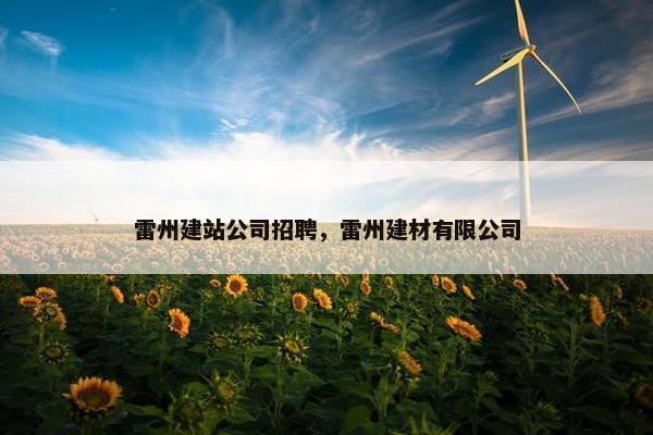 雷州建站公司招聘，雷州建材有限公司