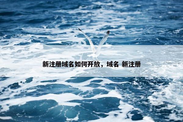 新注册域名如何开放，域名 新注册