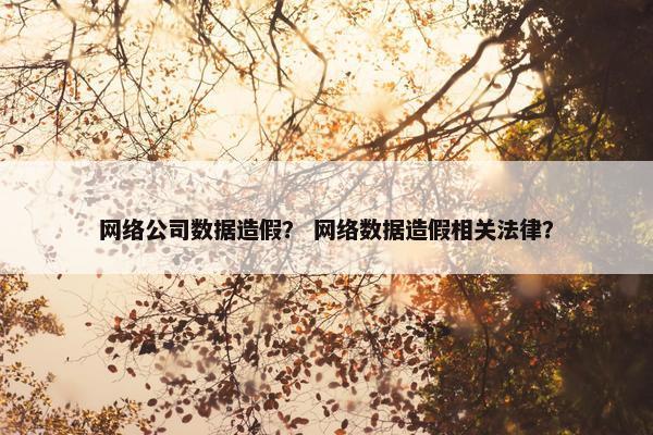 网络公司数据造假？ 网络数据造假相关法律？
