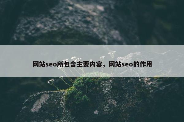 网站seo所包含主要内容，网站seo的作用