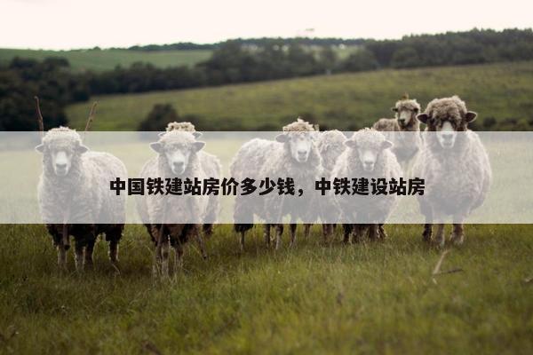中国铁建站房价多少钱，中铁建设站房