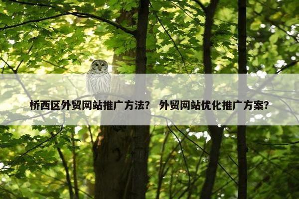 桥西区外贸网站推广方法？ 外贸网站优化推广方案？