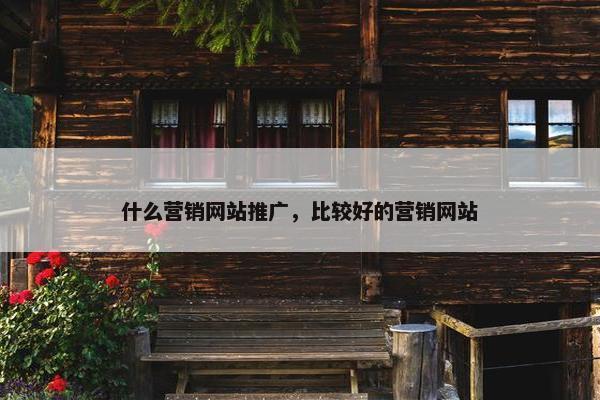 什么营销网站推广，比较好的营销网站