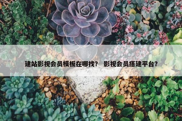 建站影视会员模板在哪找？ 影视会员搭建平台？