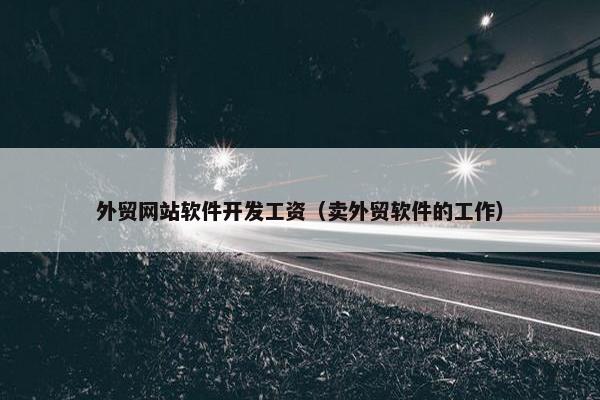 外贸网站软件开发工资（卖外贸软件的工作）