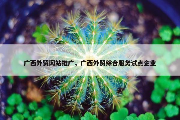 广西外贸网站推广，广西外贸综合服务试点企业