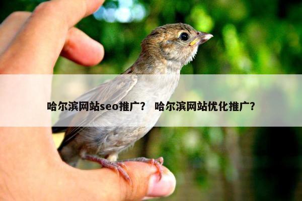 哈尔滨网站seo推广？ 哈尔滨网站优化推广？