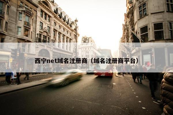 西宁net域名注册商（域名注册商平台）