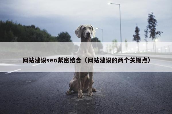 网站建设seo紧密结合（网站建设的两个关键点）
