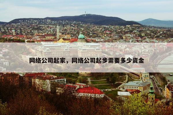 网络公司起家，网络公司起步需要多少资金