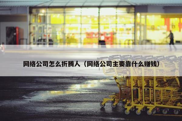 网络公司怎么折腾人（网络公司主要靠什么赚钱）