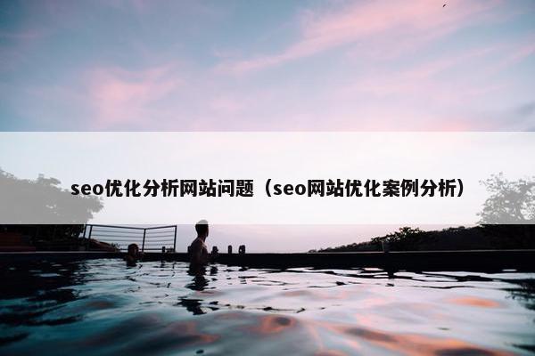 seo优化分析网站问题（seo网站优化案例分析）