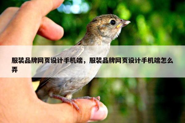 服装品牌网页设计手机端，服装品牌网页设计手机端怎么弄
